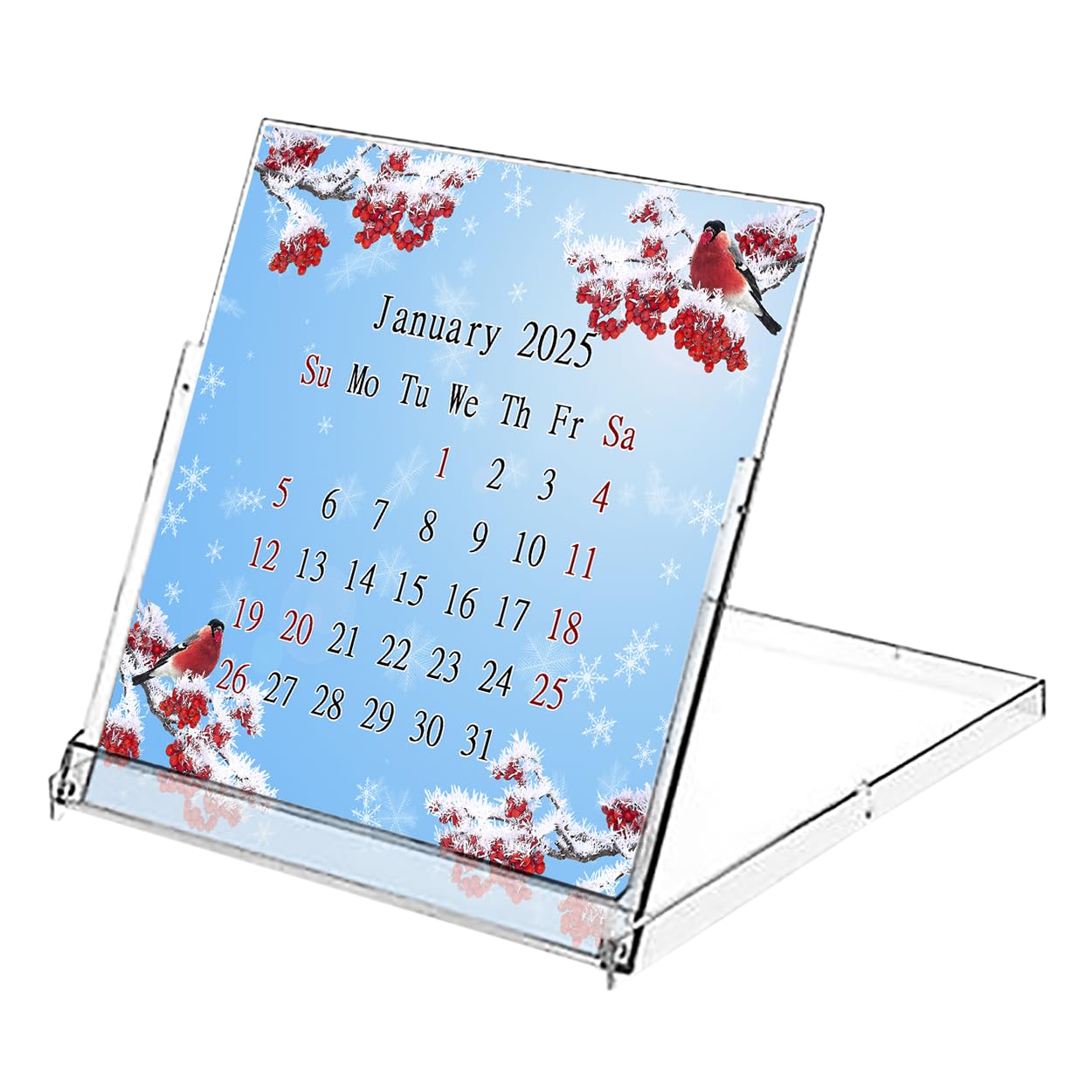 2025 CD-Style Desk Calendar - 12 Month Planner with CD Case Stand | Office Decor & Christmas Gift Idea | Perfect for Workstations, Home Offices & Holiday Gifting (Edition #016)