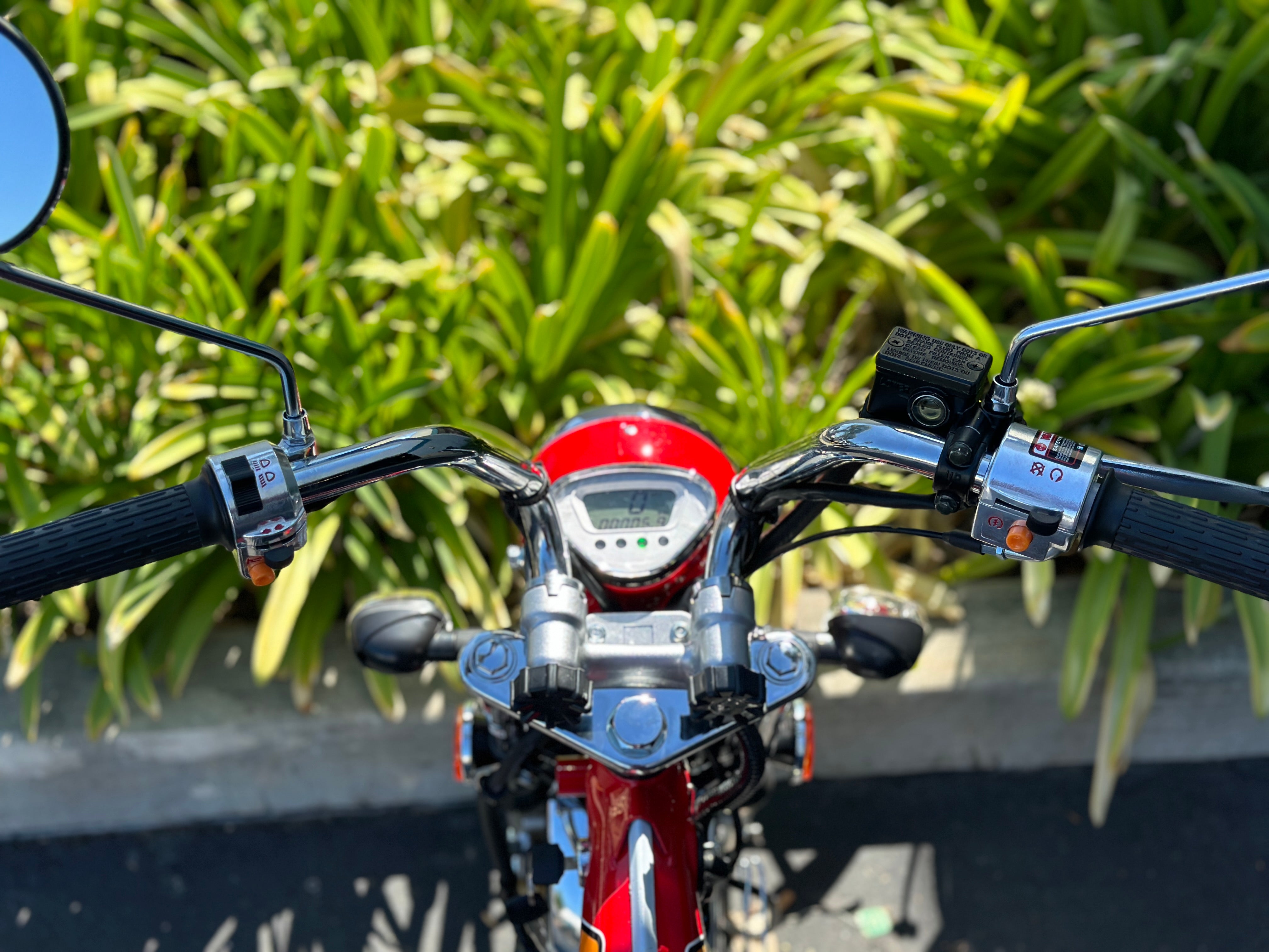 Champion LX 125cc Monkey Bike 4-Speed Motorcycle (PBZ125 2P) - Perfect for Urban Commuting & Off-Road Adventures
