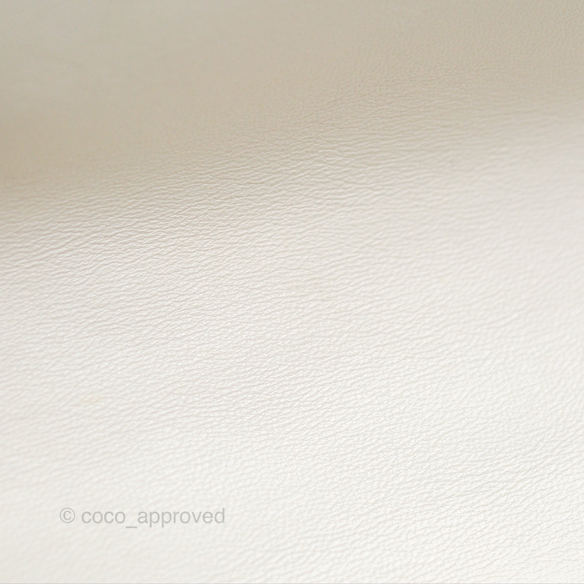 Chanel 19 Small Handbag in Ivory White Lambskin Leather with Mixed Hardware - Luxury Crossbody Bag for Women, Perfect for Date Night & Special Occasions