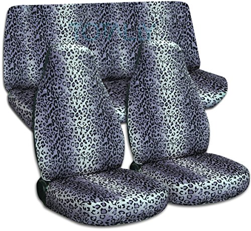 Gray Leopard