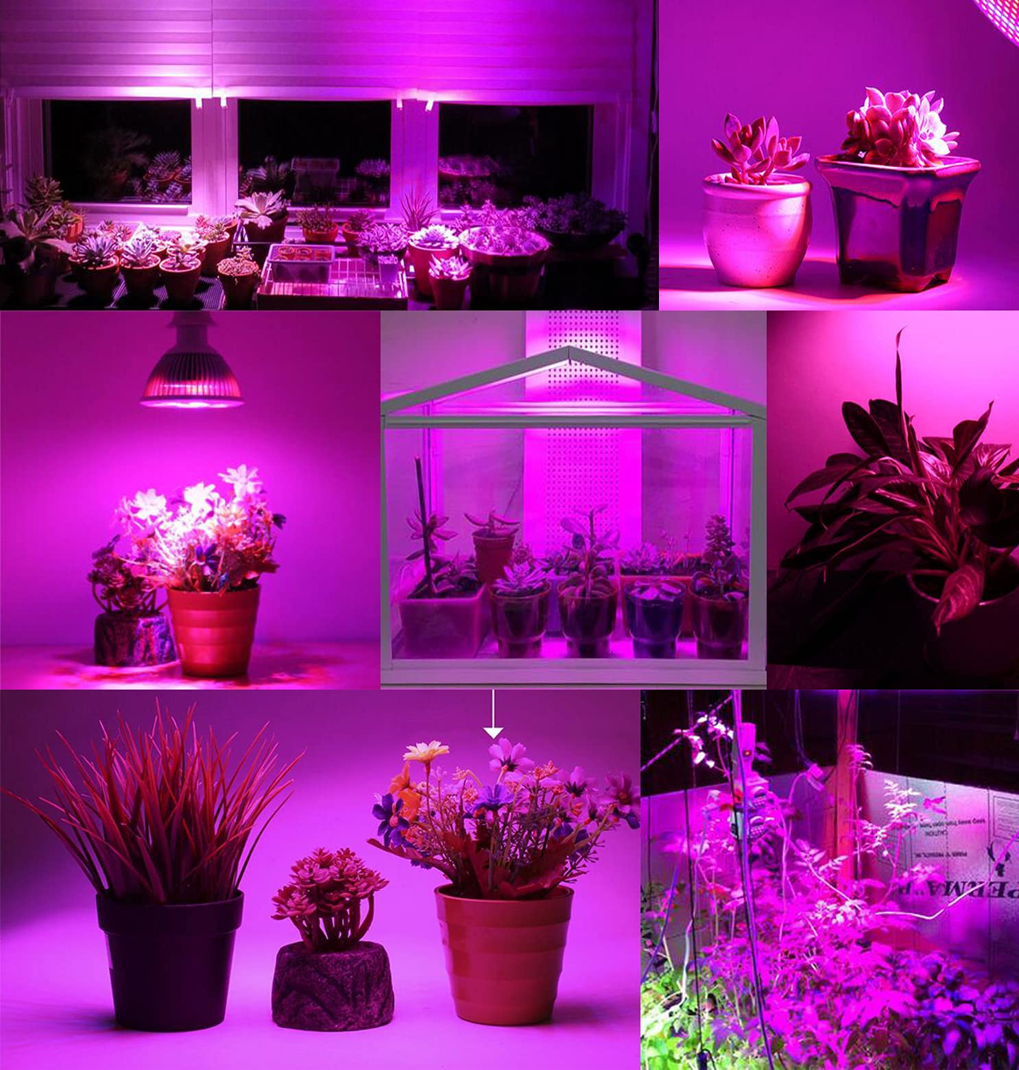 50W Full Spectrum LED Grow Light Bulb for Indoor Plants, Vegetables & Seedlings - Hydroponics, Greenhouse, Organic Soil Gardening - E27 Base 78 LED Plant Light (2 Pack) - Perfect for Indoor Herb Gardens, Hydroponic Systems & Home Greenhouses