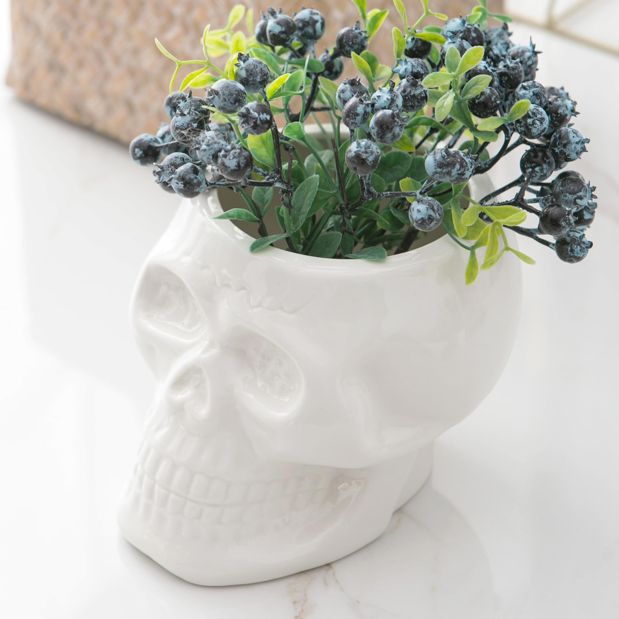 Skull Planter Pots & Skeleton Vase for Succulents & Flowers | Gothic Table Centerpiece | Punk Home Decor | Halloween & Day of The Dead Decorations - White | Perfect for Goth Home Decor, Halloween Parties & Succulent Displays