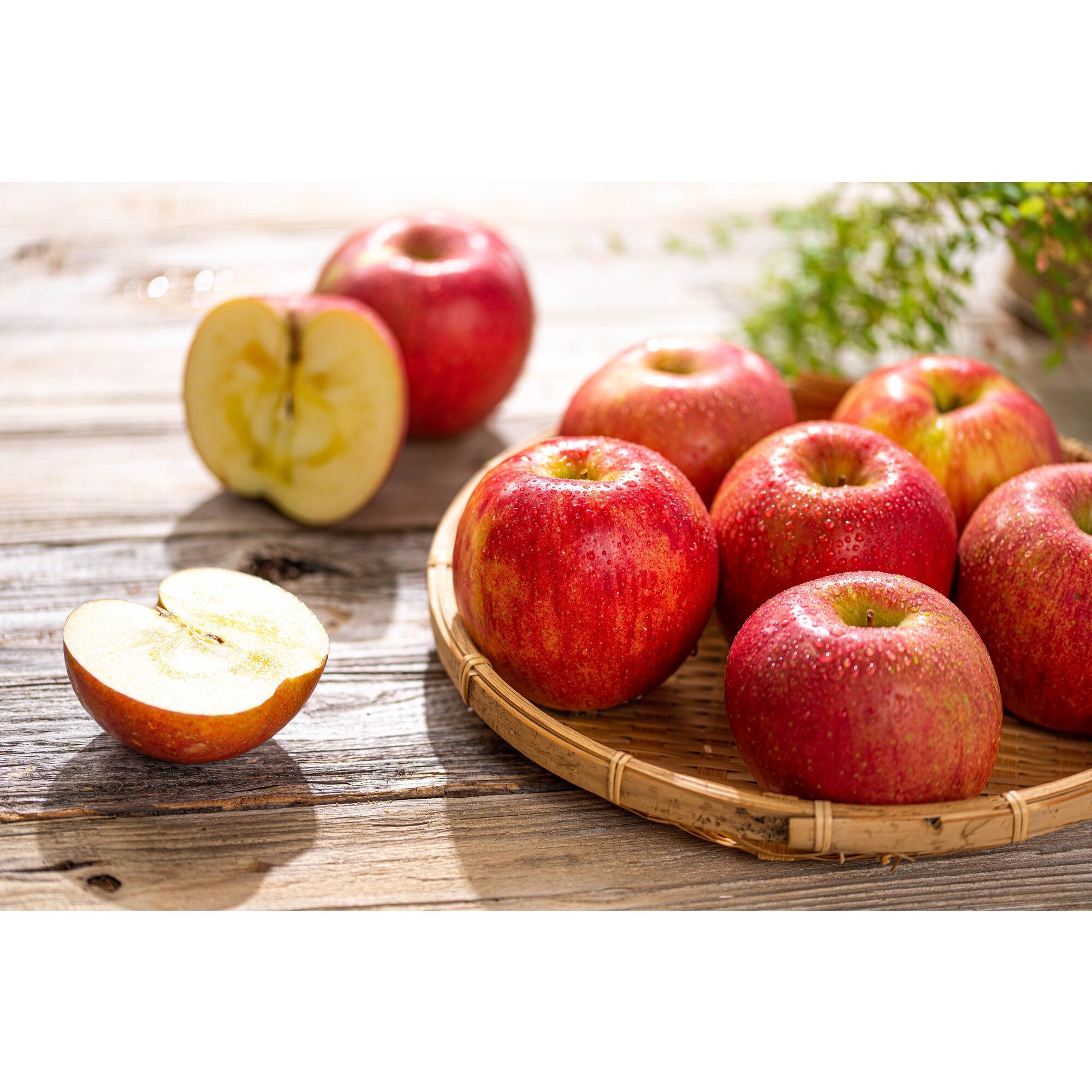 Marukan Pure Japanese Fuji Apple Cider Vinegar 360ml - Organic, Unfiltered, Raw - Perfect for Salad Dressings, Detox Drinks & Healthy Cooking