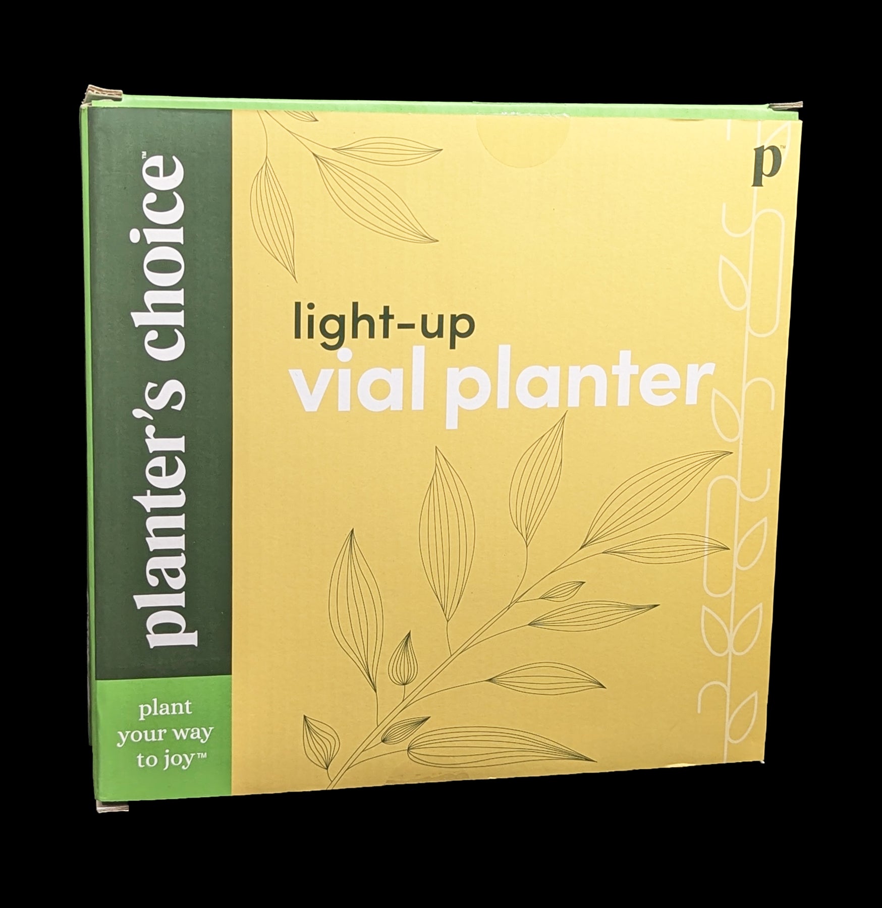LED Light Up Bamboo Vial Air Plant Holder - Modern Home Decor for Succulents, Terrariums & Office Desk - Perfect for Living Room, Bedroom & Gift Ideas