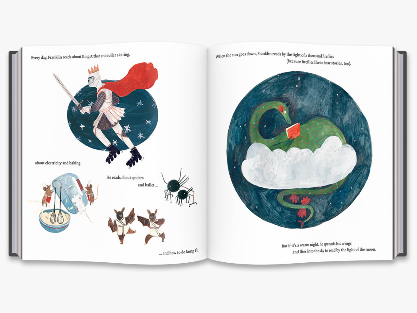Franklin's Flying Bookshop - Children's Adventure Book (Franklin and Luna Series) | Perfect for Bedtime Stories & Kids Reading