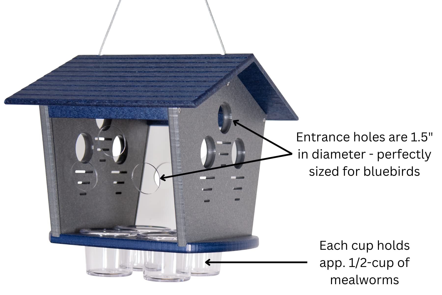 JCs Wildlife Ultimate Enclosed Bluebird Feeder - Starling Proof Bird Feeder with 2 Cups Capacity for Dried Mealworms - Perfect for Backyard Bird Watching & Protecting Bluebirds from Bully Birds