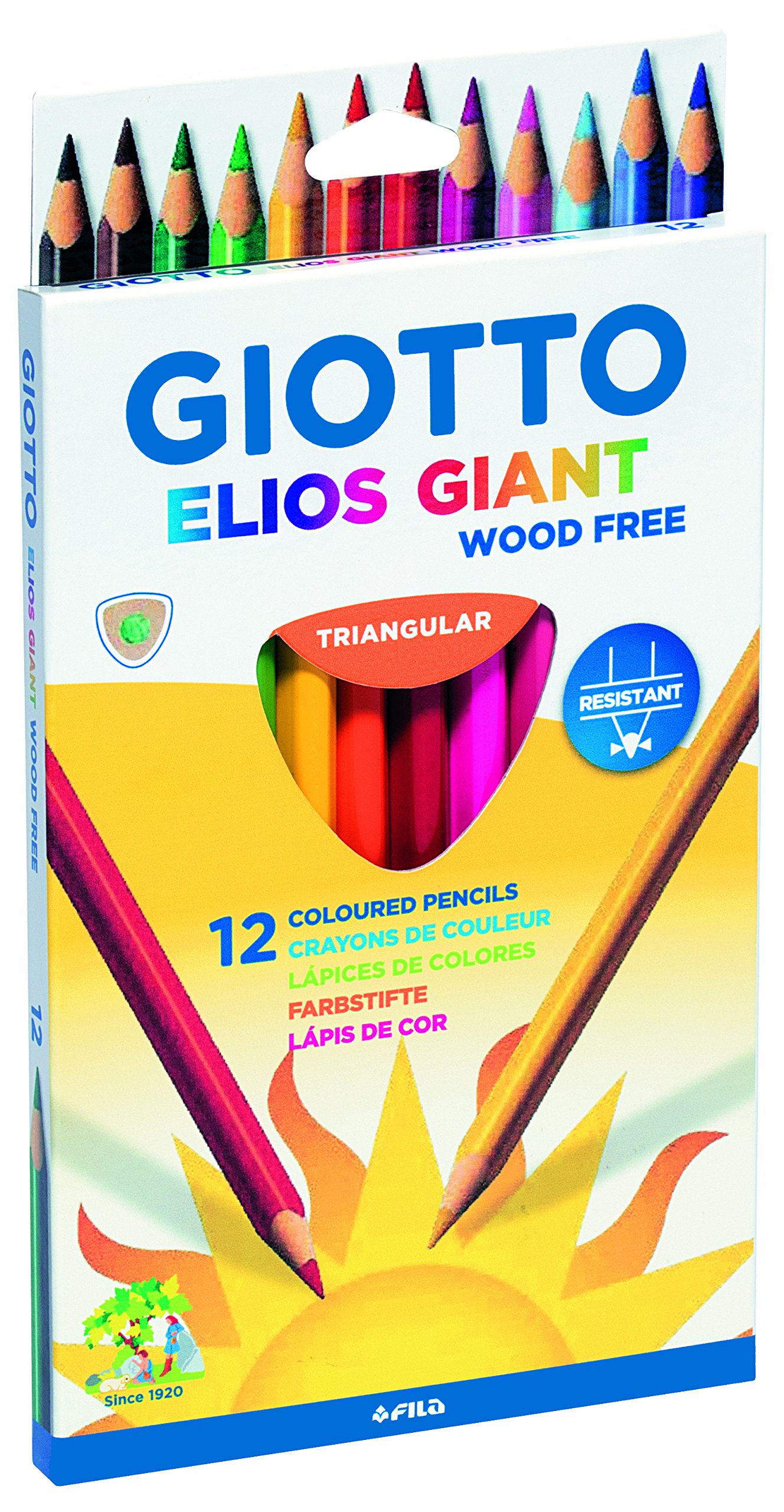 ELIOS Giant Wood-Free 12-Pack Eco-Friendly Disposable Plates - Perfect for Parties, Picnics, BBQs & Outdoor Dining