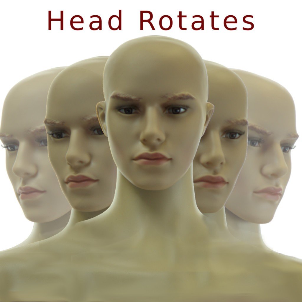 Realistic Standing Male Adult Mannequin with Base (F-01B) - Perfect for Retail Store Displays, Fashion Boutiques & Window Dressing