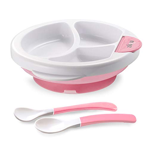 1 Pink Plate & 2 Pink Spoons (Water Inlet Funnel Included)