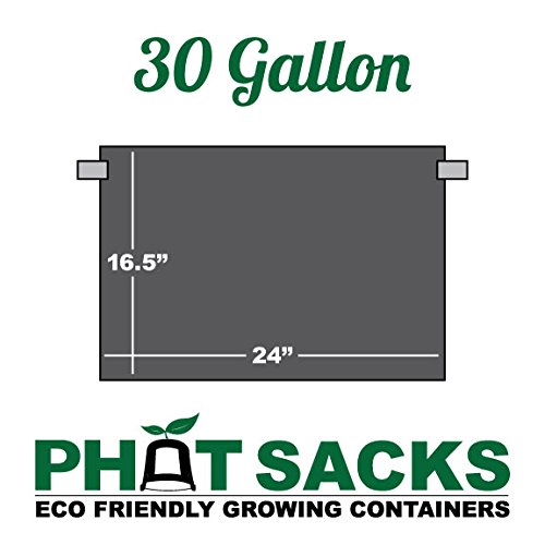 HTG Supply 30-Gallon Black Fabric Grow Pots for Indoor & Outdoor Plants - Perfect for Vegetables, Herbs, and Flowers Gardening