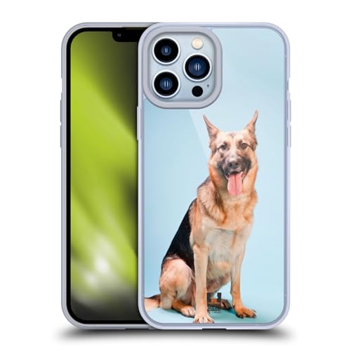 German Shepherd Dog