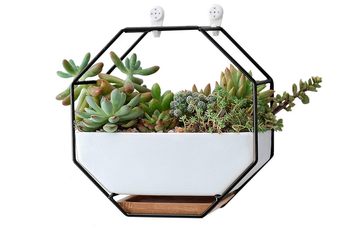 VanEnjoy 7 Inch White Ceramic Wall Planter with Copper Accent - Hexagon Geometric Hanging Vase with Drainage Hole & Bamboo Tray for Succulents, Air Plants, Mini Cactus or Artificial Flowers - Perfect for Home, Office, Garden Wall Decor (Black Metal)