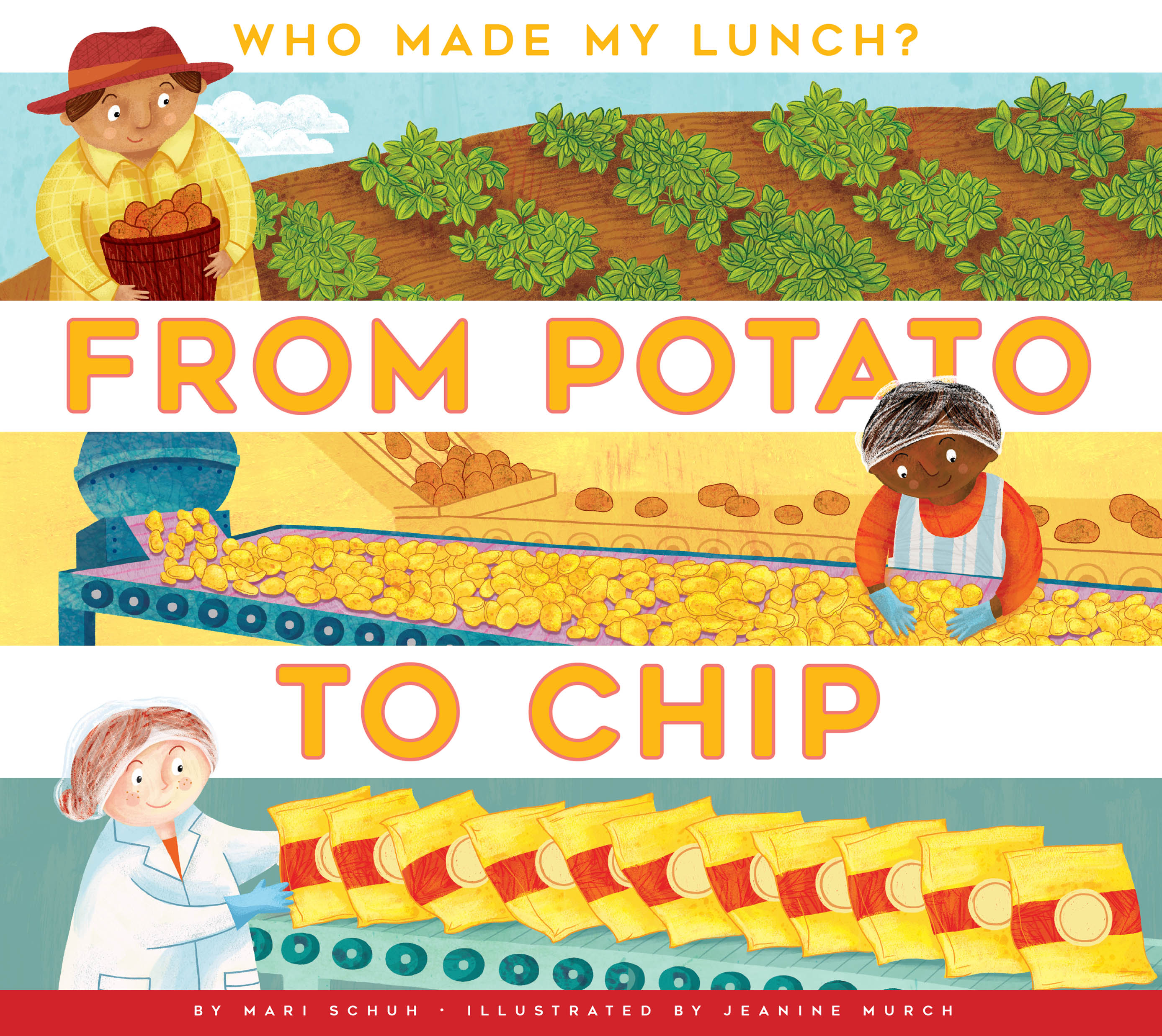 From Potato to Chip - Premium Potato Chips for Snacking, Parties & Gifts | Crunchy & Delicious Snack Food