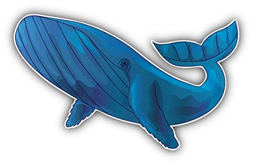 Blue Whale Double Sided Stainless Steel Keychain - Durable Key Ring Holder with Car Key Finder | Perfect for Home, Office & Travel Organization