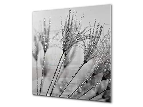 Dandelion Flower 2