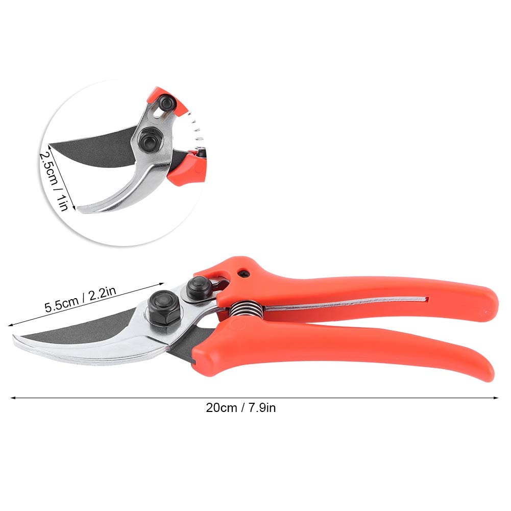 Premium Stainless Steel Garden Pruners - Sharp Professional Pruning Shears for Plants, Trees, Branches & Flowers | Ideal for Gardening, Landscaping & Outdoor Trimming | Durable Gardening Scissors for Home & Professional Use