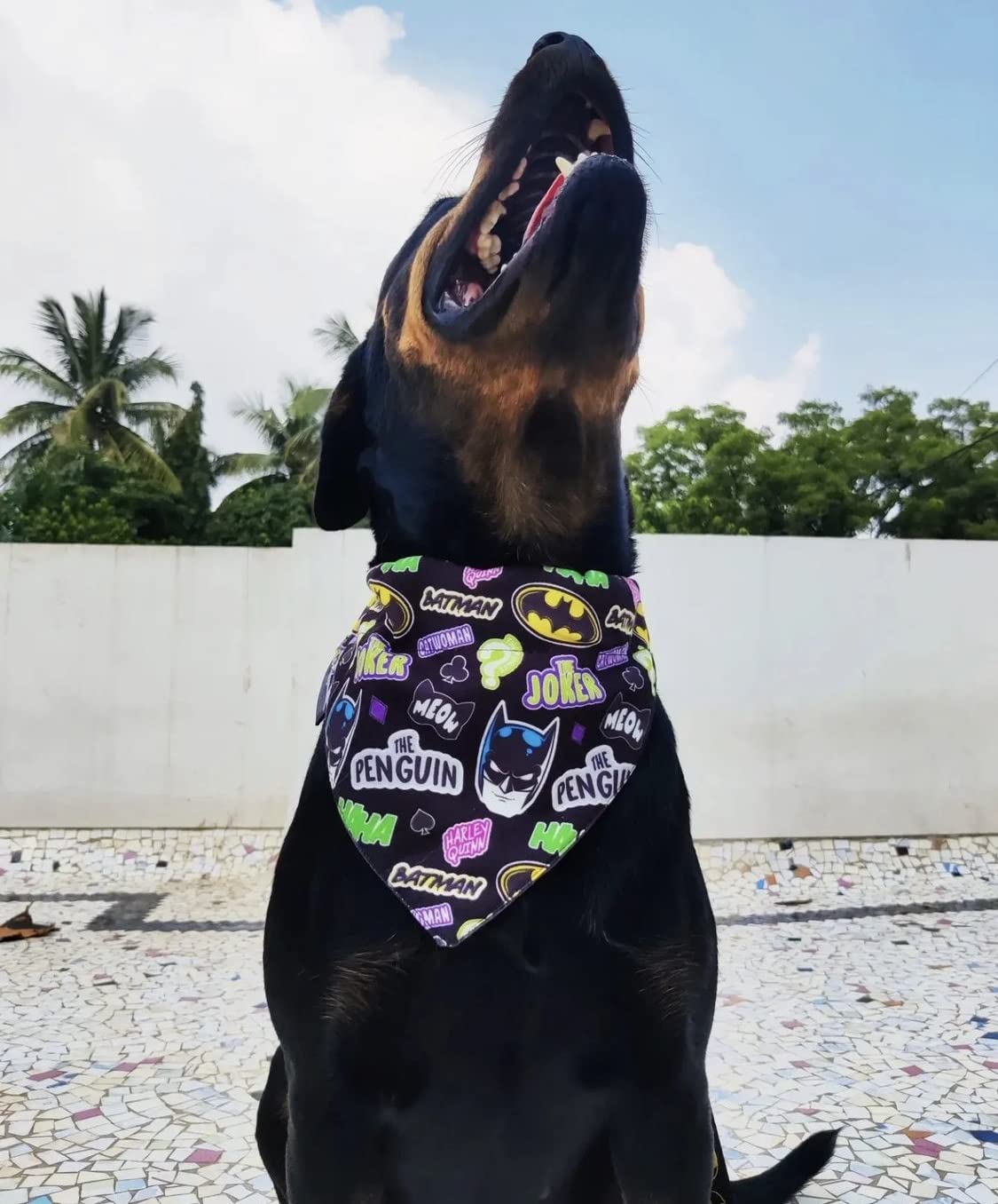 TDIT XDC Batman Reversible Dog Bandana with Adjustable Collar for Large Dogs - Perfect for Pet Costumes, Halloween & Superhero Themed Parties