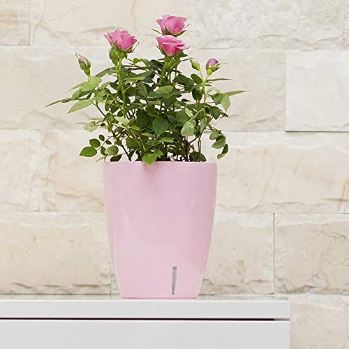 4.9 Inch Self Watering Orchid Pot with Wick System - Violet Decorative Planter for Orchids | Excellent Aeration, Drainage & Water Level Indicator | Perfect for Home, Office & Indoor Gardening