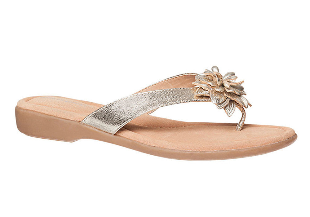 Hush Puppies Women's Veta Leather Thong Sandals - Comfortable & Stylish for Casual Wear, Beach, and Summer Outings