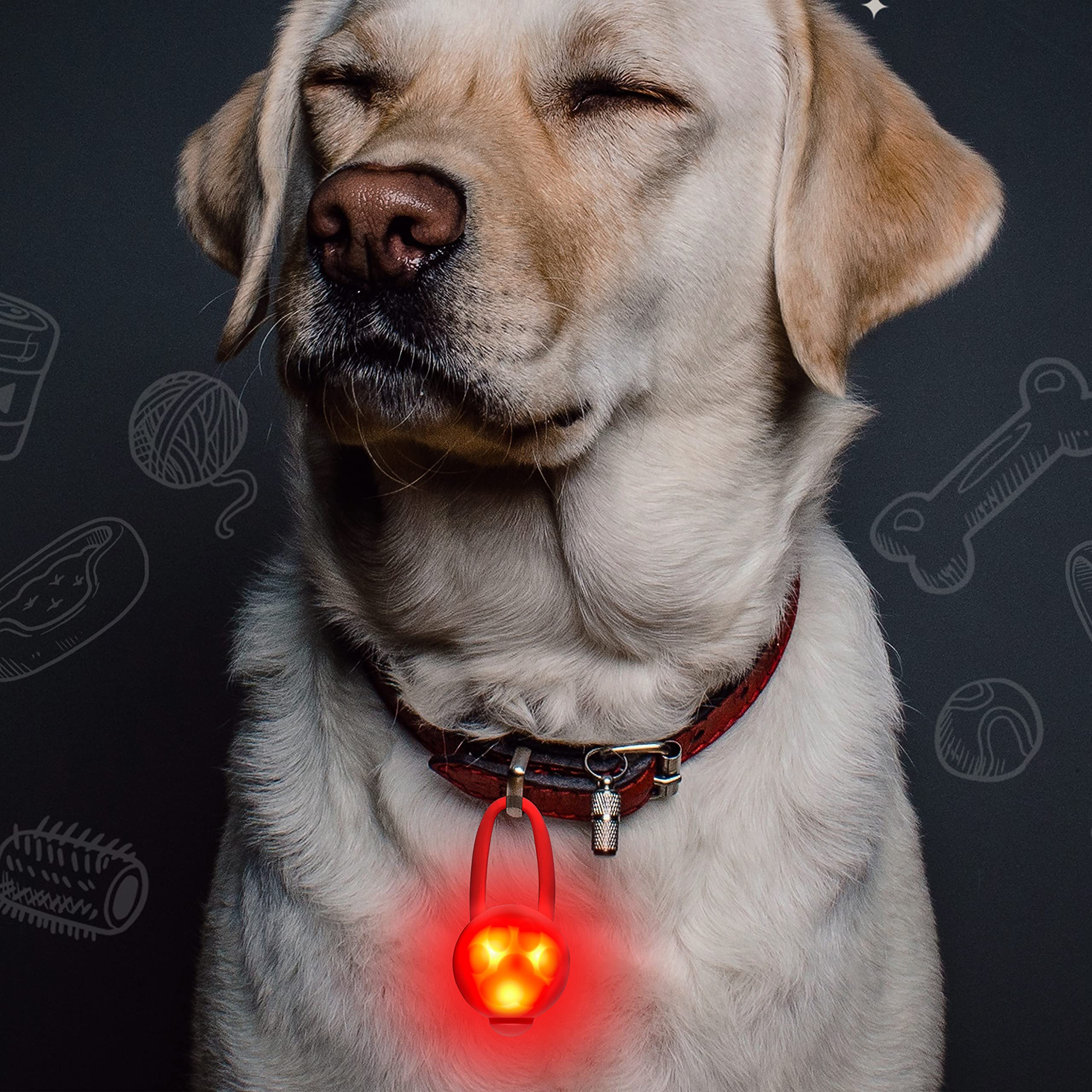Waterproof LED Dog Collar Light - Rechargeable Safety Collar for Night Walking, Jogging & Outdoor Adventures (3 Pack) - Perfect for Dogs & Cats, Batteries Included