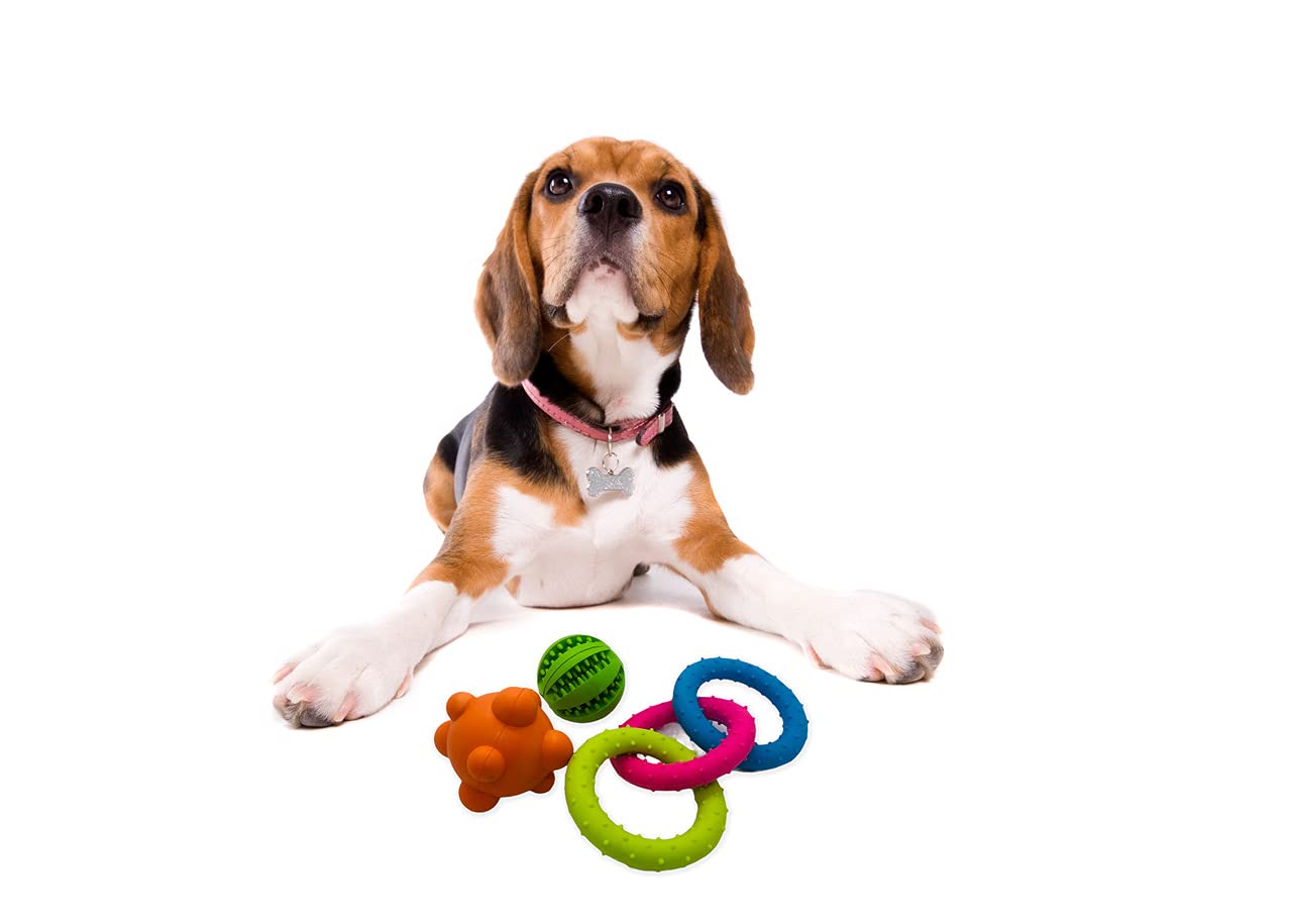 Durable Puppy Teething Toy for Small Dogs - Natural Rubber Chew Toy for Puppy Training & Teething Relief | Perfect for Teething Puppies, Boredom Relief & Dental Health