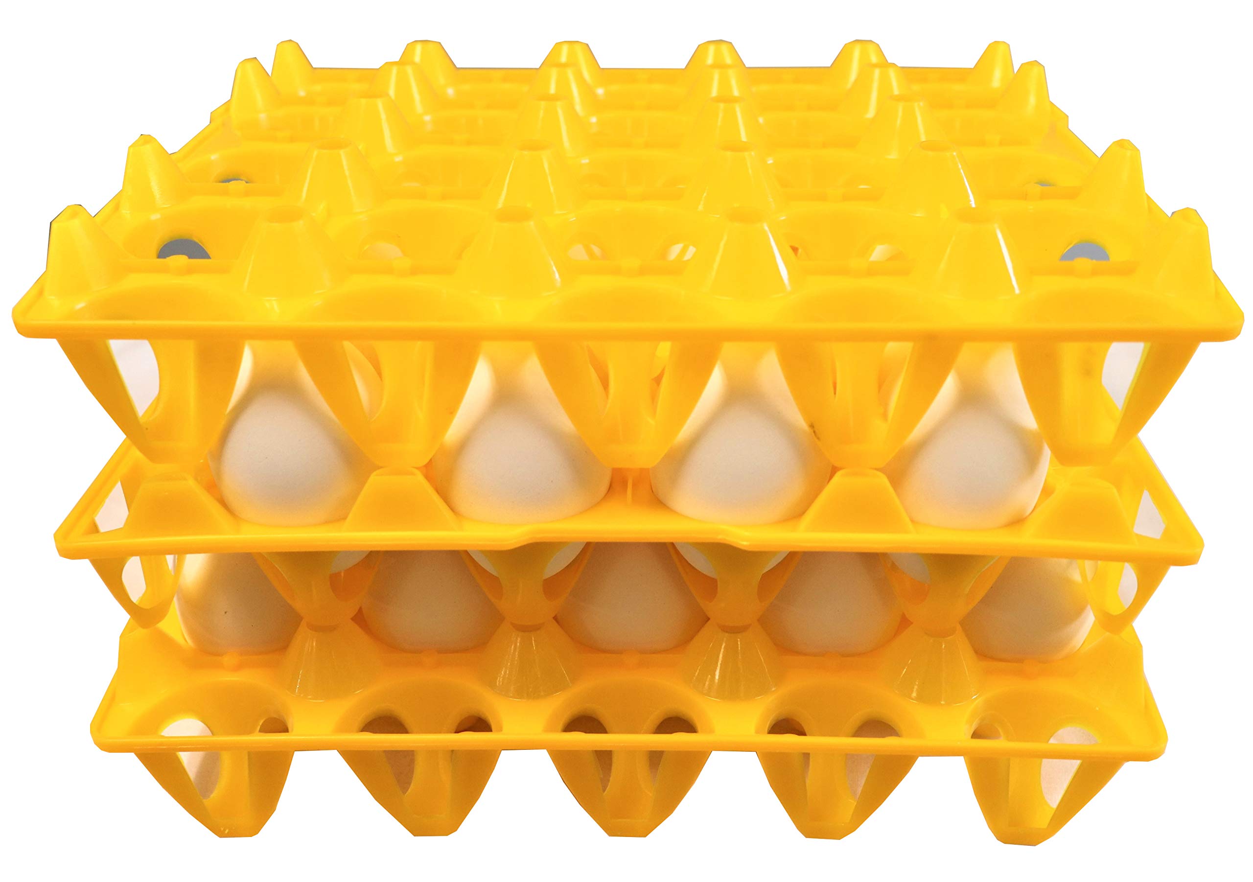 Rite Farm 6-Pack 20-Count Plastic Egg Trays for Duck, Goose, Turkey & Peafowl Eggs - Durable Poultry Egg Cartons for Farm, Hatchery & Home Use