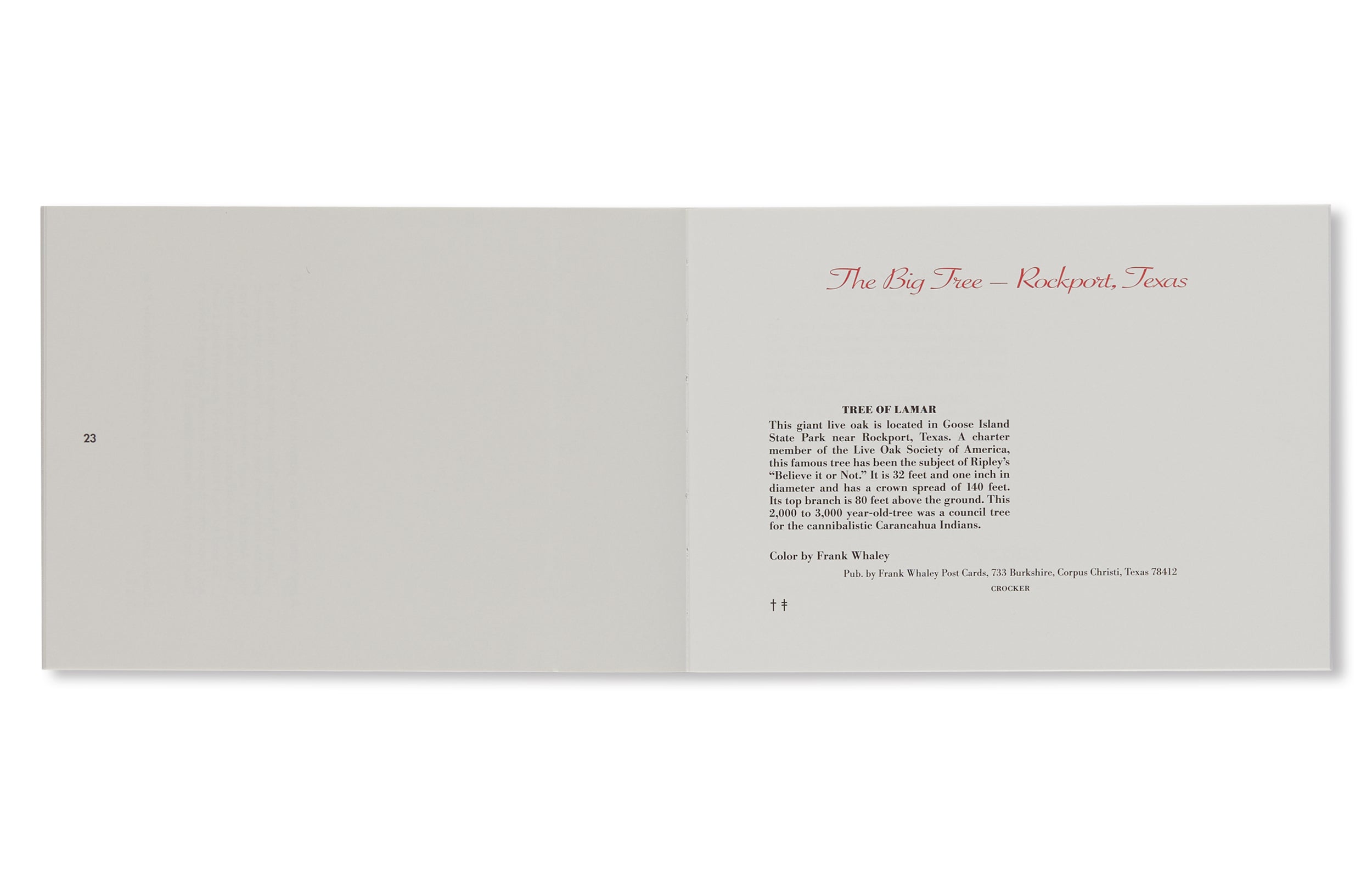 82 Postcards by Roni Horn - Unique Art Collection for Home Decor, Office Display & Gift Giving - Perfect for Art Lovers, Collectors and Creative Spaces