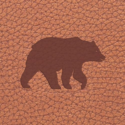 Brown Bear