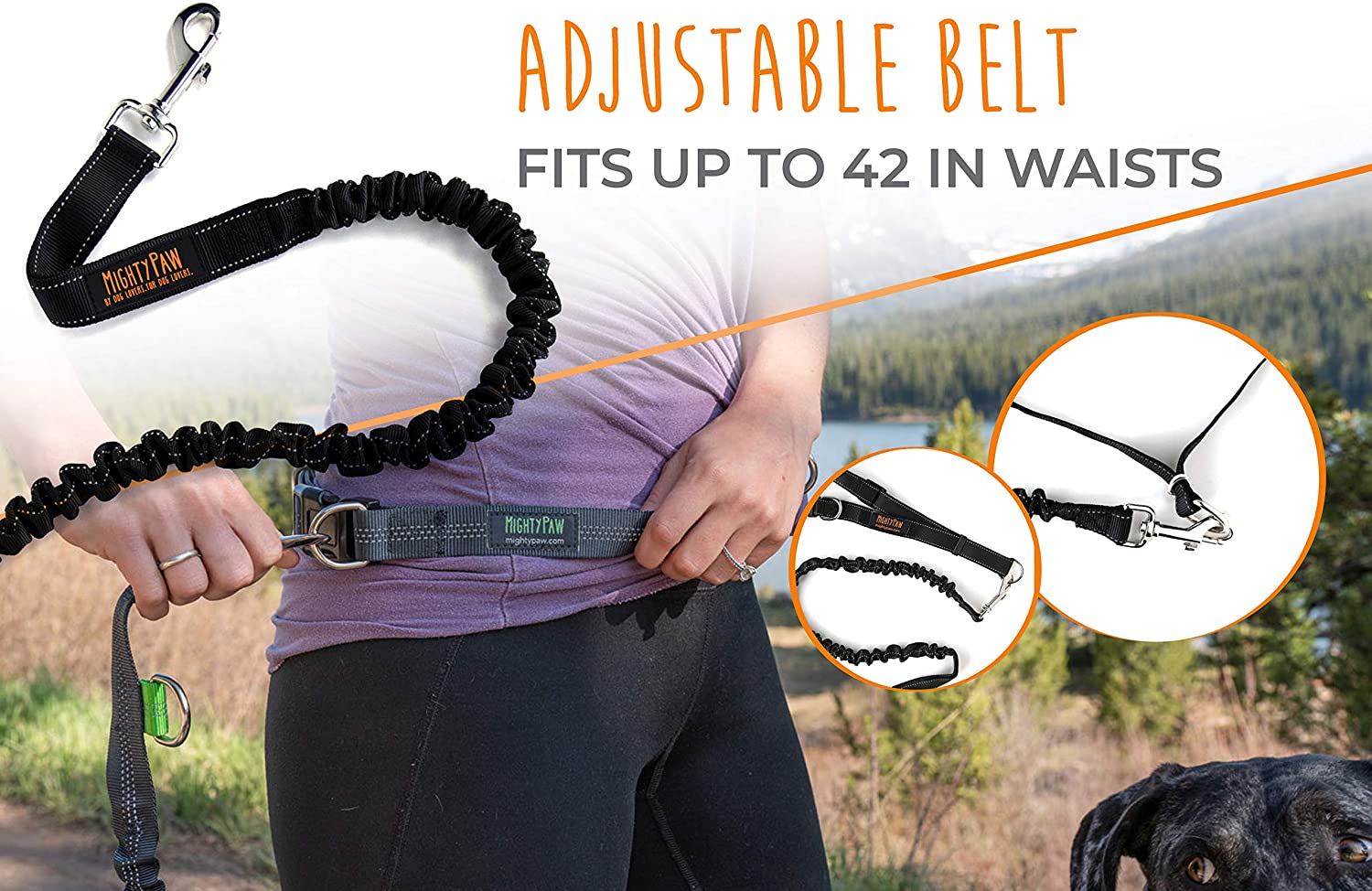 Hands Free Bungee Dog Leash Set - Adjustable No-Pull Walking Lead for Small Medium Large Dogs - Perfect for Running, Hiking & Outdoor Activities