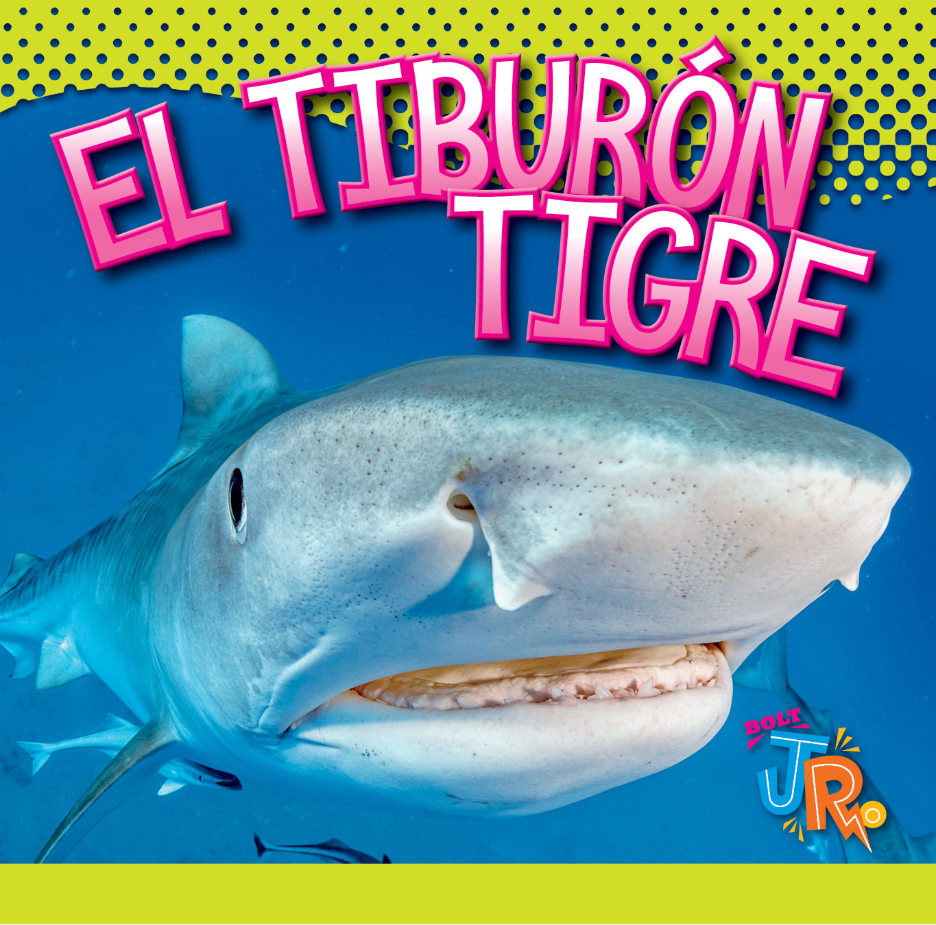 Tiger Shark Figurine - Realistic Hand-Painted Collectible for Home Decor, Aquarium & Ocean-Themed Displays