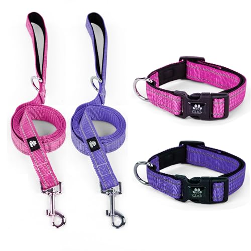 Purple&Fuchsia(Collar+Leash)