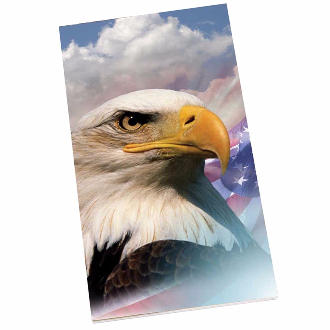 Springbok 1000-Piece Jigsaw Puzzle - America The Beautiful Bridge - Premium Quality Puzzle for Adults & Families - Perfect for Relaxation, Gifts & Home Decor