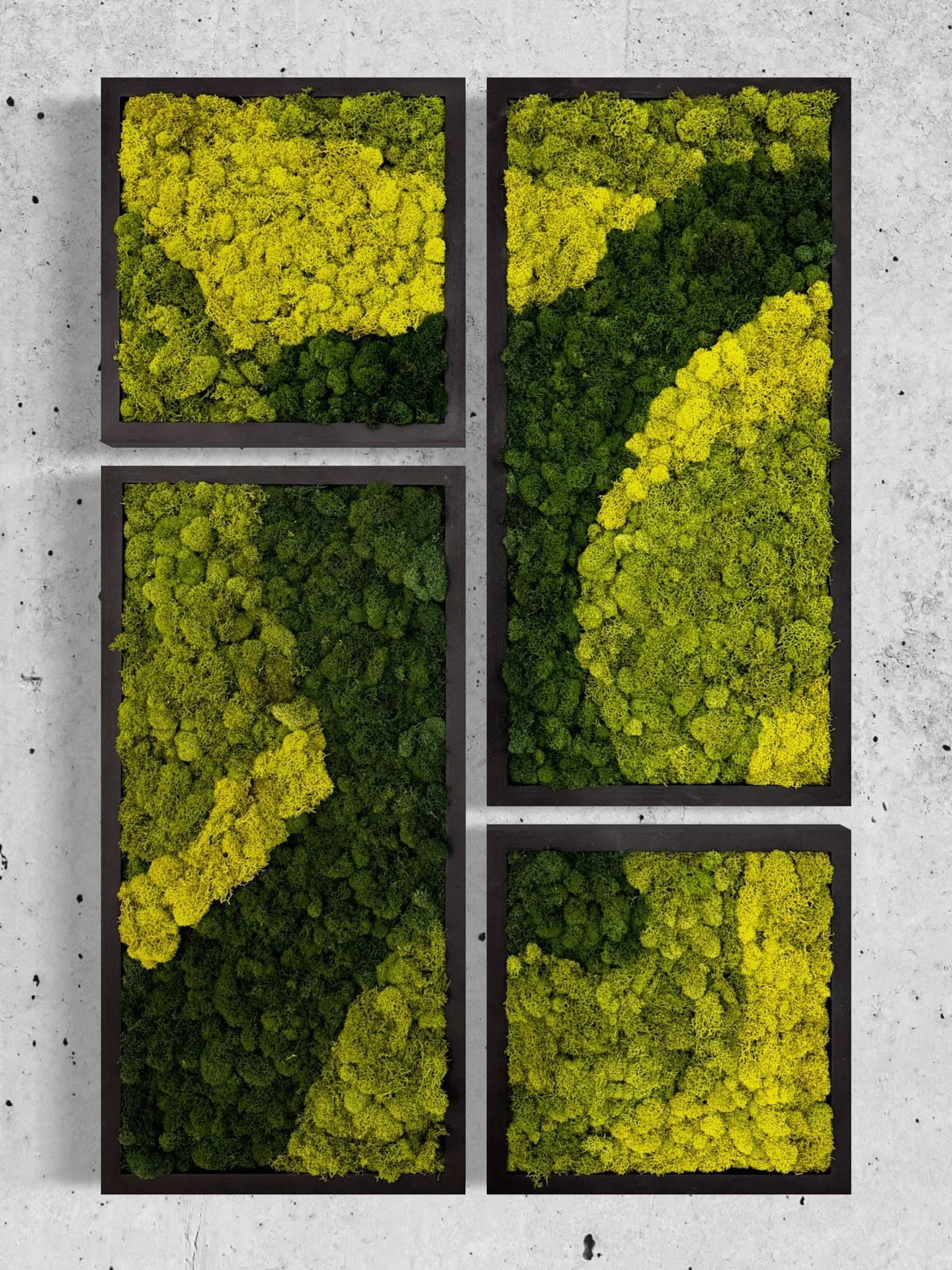DIY Mosaic Moss Art Kits - Creative Wall Decor for Home, Office & Gifts - Eco-Friendly Botanical Art Projects for Relaxation & Stress Relief