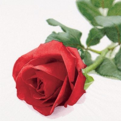 Premium Rose Nobile Floral Pattern Paper Napkins - 20 Pack Disposable Lunch Napkins for Wedding, Party, and Dinner Table Decorations