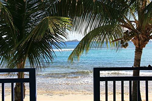 20x30 Inch Laminated Tropical Beach Poster - Vibrant Palm Trees & Caribbean Scenery - Perfect for Living Room, Bedroom, or Office Wall Decor - Fits Standard Frames - Home & Travel Inspired Art Print