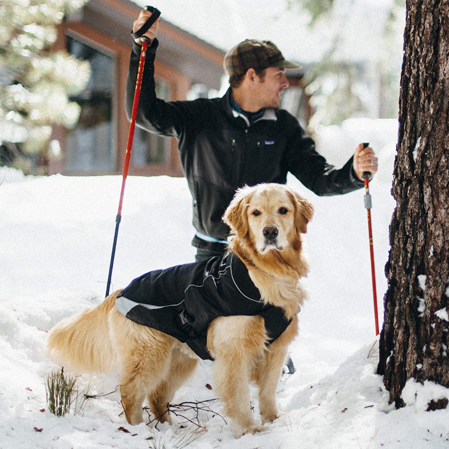 Kurgo North Country Waterproof & Windproof Dog Coat - Reflective Winter Jacket for Dogs, Fleece-Lined Snow Coat for Cold Weather - Ideal for Hiking, Walking & Outdoor Adventures