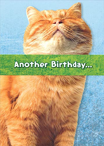 Funny Orange Cat Birthday Card for Women - Humorous Closed Eyes Cat Greeting Card - Perfect for Her Birthday, Friendship & Special Occasions