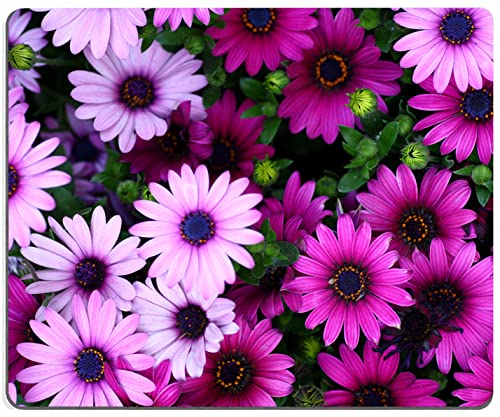 21 Purple Floral