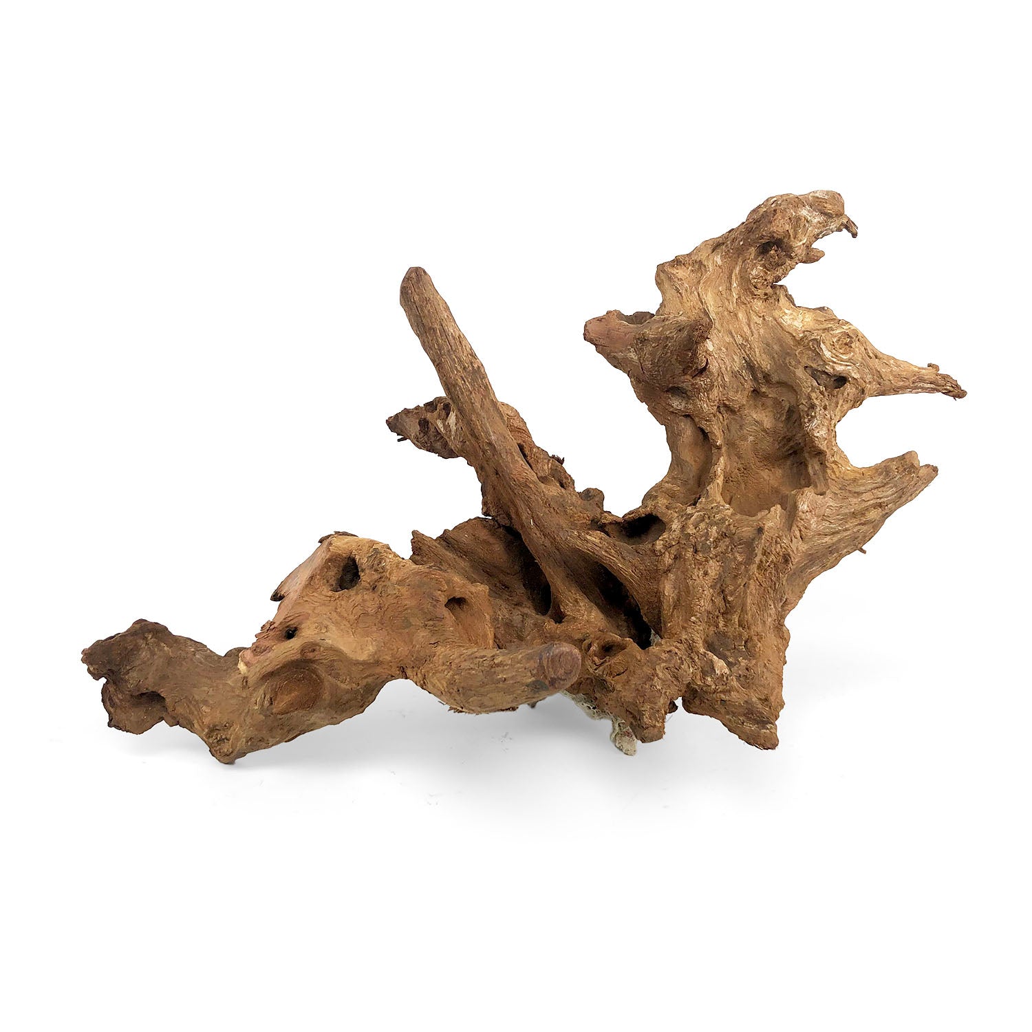 Gnarly Wood - Premium Natural Wood for DIY Crafts, Home Decor, and Woodworking Projects | Perfect for Rustic Furniture, Wall Art, and Custom Creations