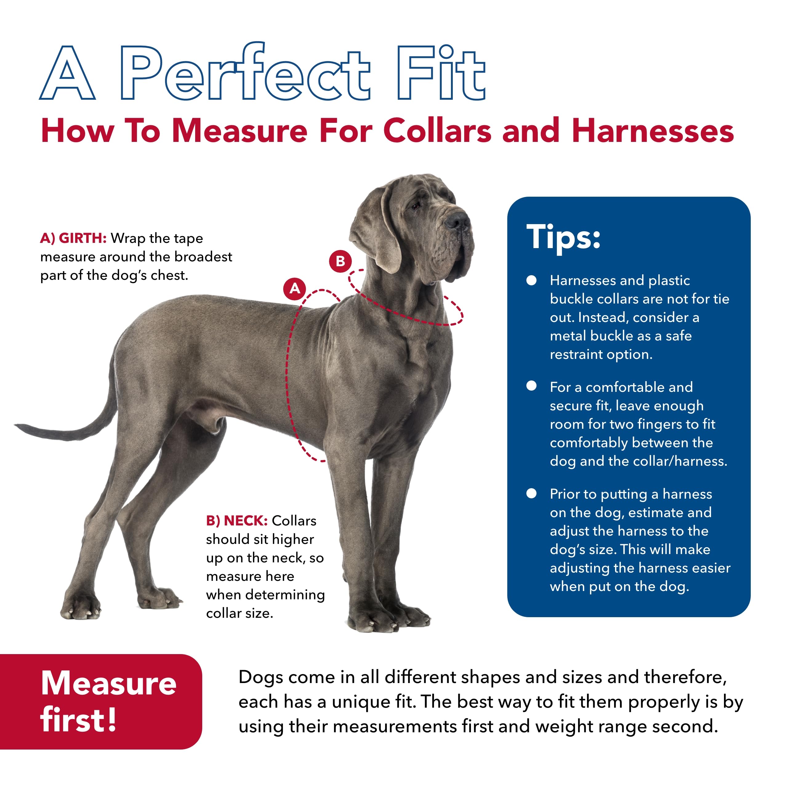 Adjustable Flea Collar Protector for Dogs & Puppies - Coastal Pet SecureAway Collar Cover - Multi Bones Design (5/8