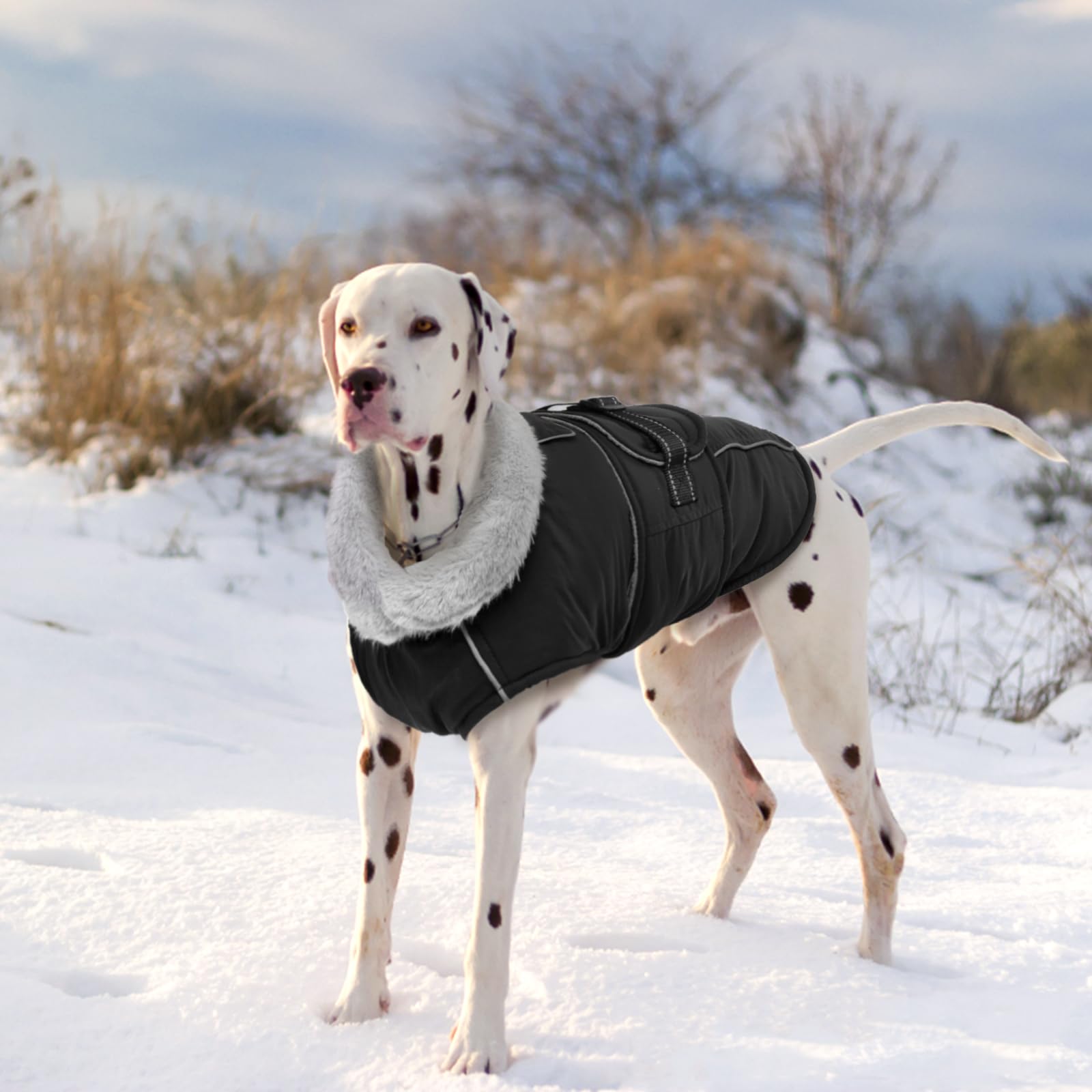 Lelepet Reflective Fleece Dog Jacket - Waterproof & Windproof Winter Coat for Large Dogs (XL) - Perfect for Outdoor Walks, Hiking, and Cold Weather Protection