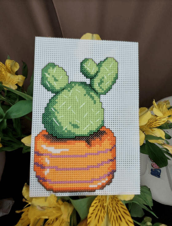 Cactus Counted Cross Stitch Kit - 108CS Embroidery Kit for Beginners, DIY Home Decor, Wall Art, Gift Idea for Plant Lovers