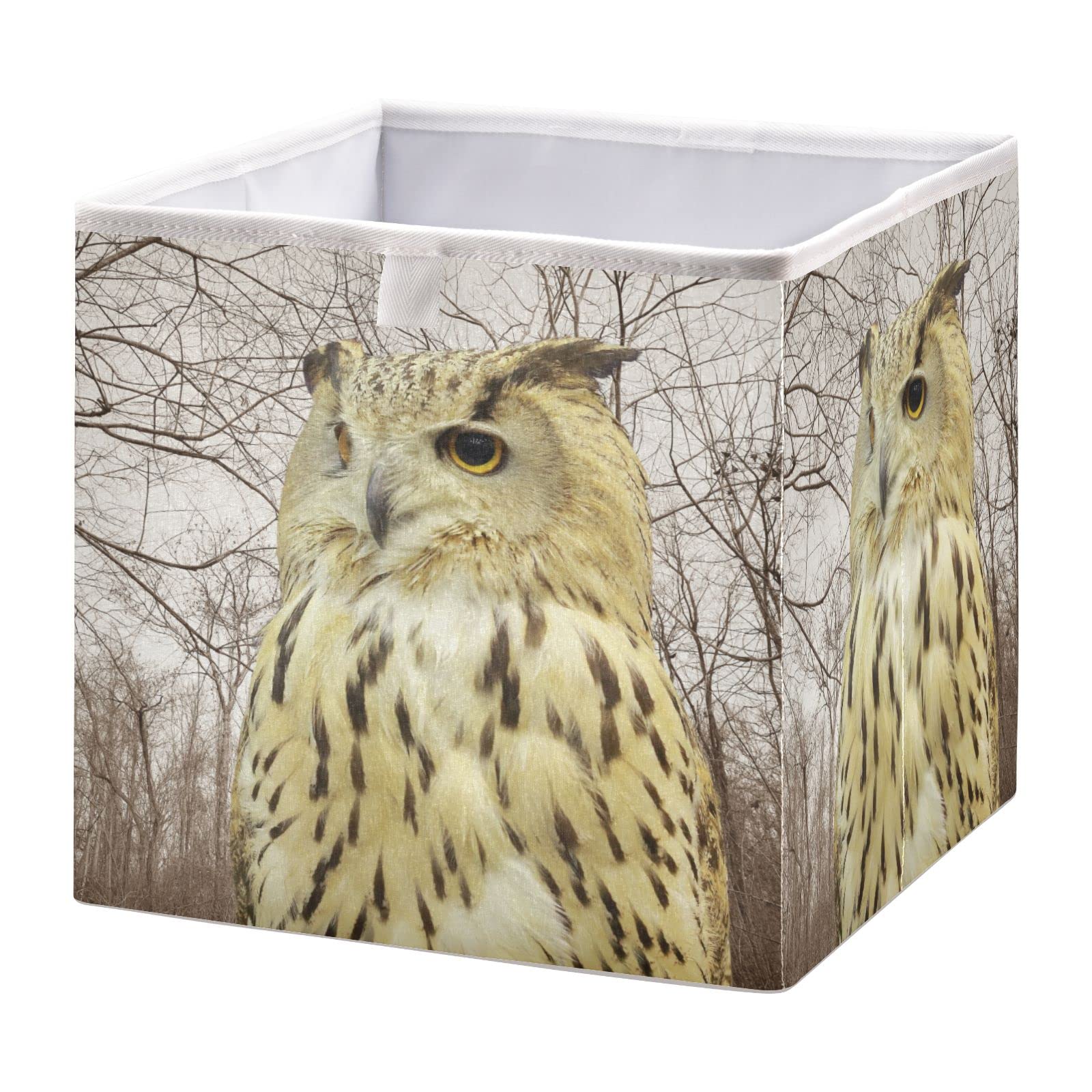 Ollabaky Owl Forest Cube Storage Bin - Foldable Fabric Storage Basket with Handle, Cloth Organizer Box for Closet Shelves, Nursery & Toy Storage | Perfect for Kids' Room Organization, Playroom & Home Decor