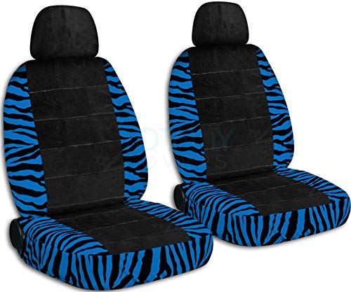 Blue Zebra & Black