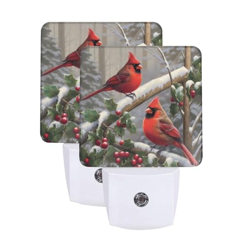 Winter Snow Birds