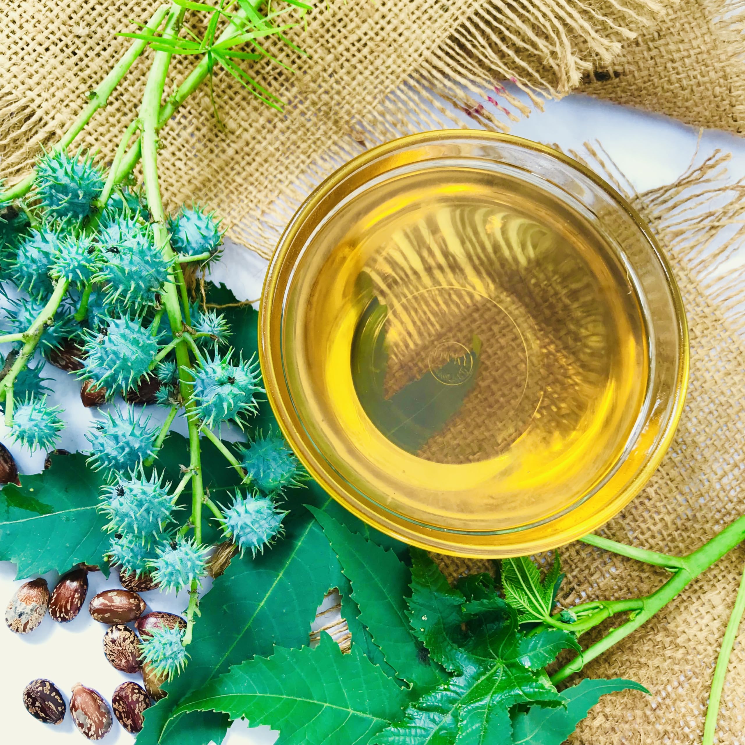 Bonnutritious Cold-Pressed Extra Virgin Castor Oil for Hair Growth & Skin Care - 100% Pure Natural Vilakennai Oil - 500mL - Perfect for DIY Beauty Treatments, Eyelash Growth & Massage Therapy