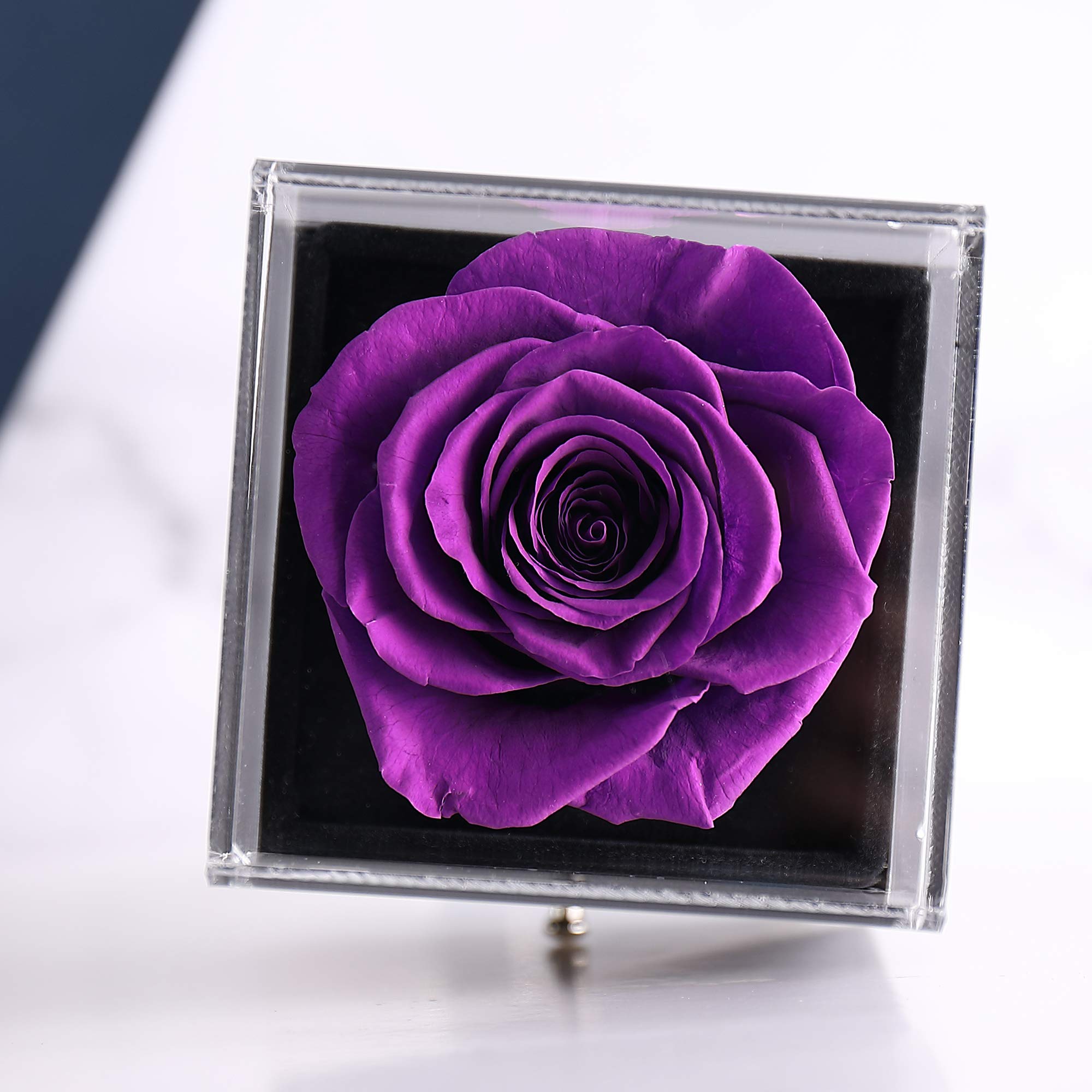 Enchanted Eternal Preserved Real Rose Gift Box with 'I Love You' Necklace in 100 Languages - Handmade Forever Rose Flower for Her (Silver Purple) - Perfect for Anniversaries, Valentine's Day & Romantic Surprises