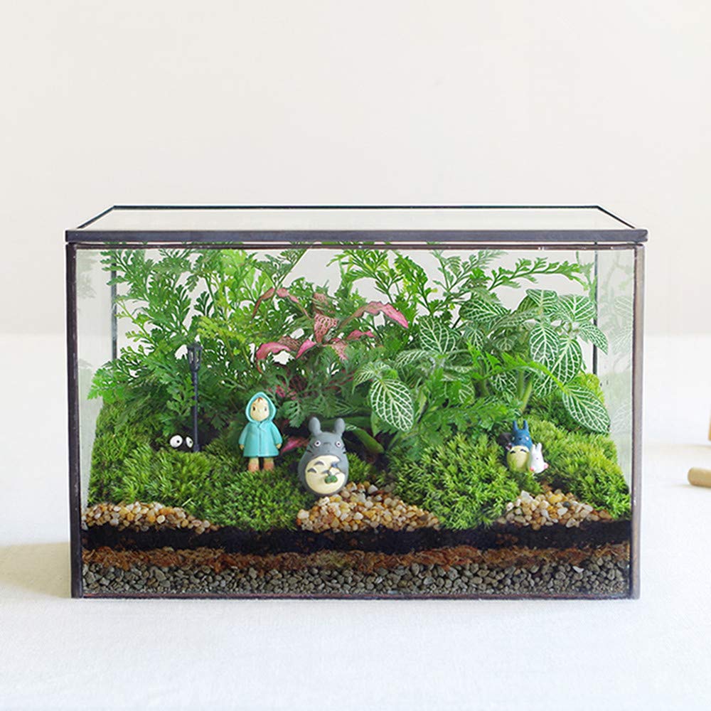 Modern Geometric Glass Terrarium with Lid - 8.3