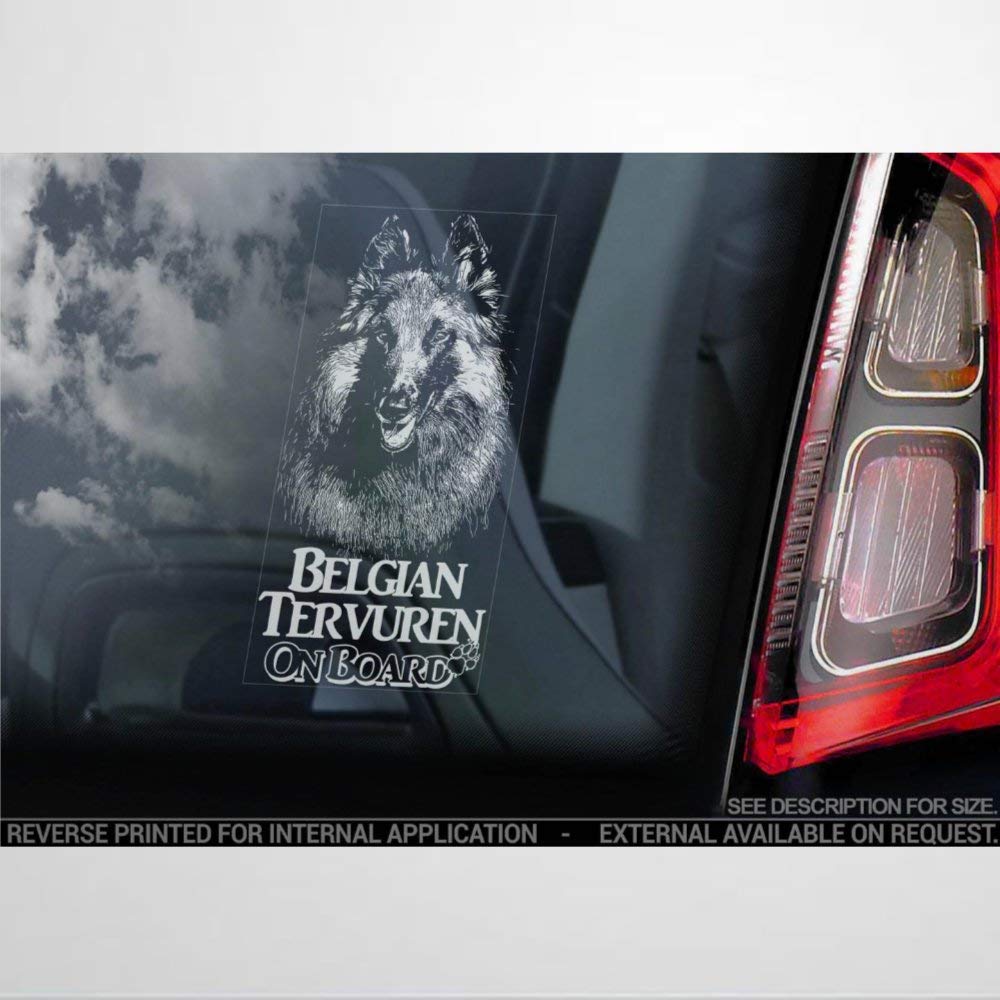 BYRON HOYLE Belgian Tervuren Dog Vinyl Car Sticker - Waterproof Decal for Windows, Cars, Trucks & Laptops - Perfect Car Accessories & Bumper Stickers for Pet Lovers - Great for Road Trips, Daily Commute & Office Decor