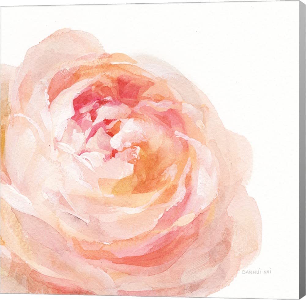 Danhui NAI White Garden Rose Canvas Art - 16x16 Inch Gallery Wrap Wall Decor for Living Room, Bedroom & Office